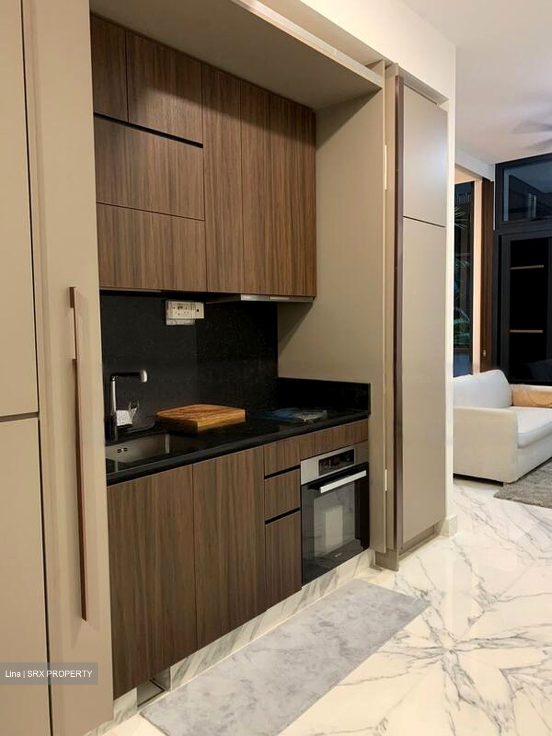 Van Holland (D10), Condominium #472902971